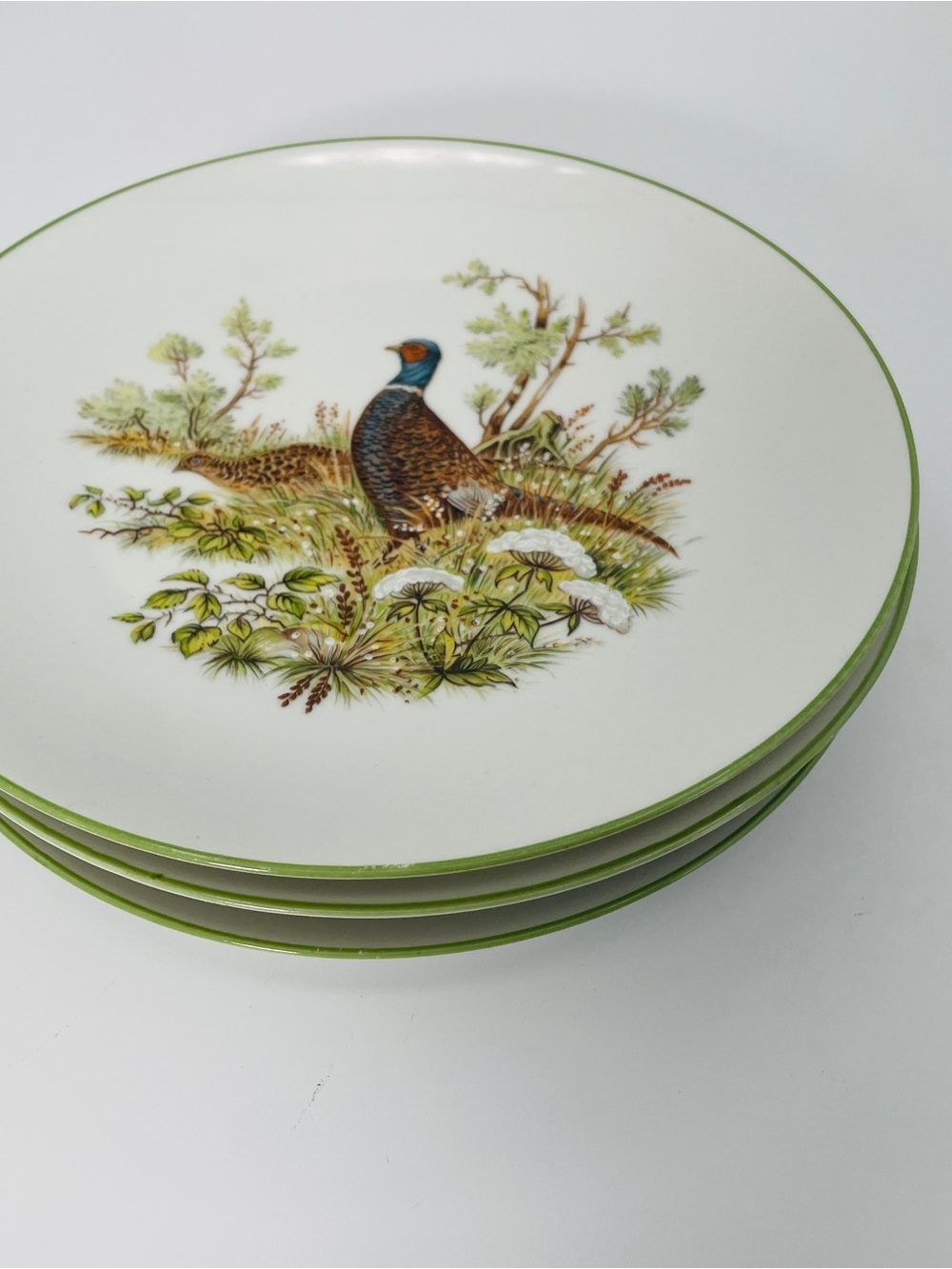 Bareuther Waldsassen Bavaria Germany Woodland Wildlife Salad Plates Set of 4 - Picture 3 of 10